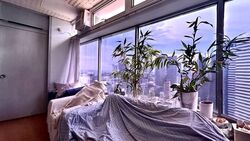 The Plaza (D7), Apartment #547788201